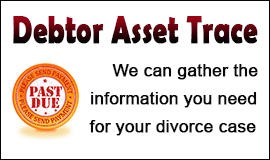 Debtor Asset Trace For Information in Waltham Abbey