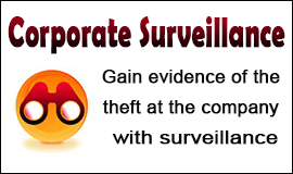 Surveillance for Corporate Theft in Waltham Abbey