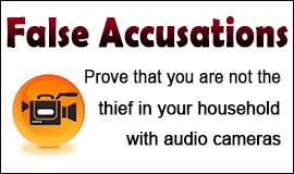 Prove Your Innocence Of Theft With Audio Cameras in Waltham Abbey