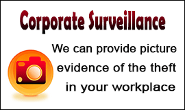 Surveillance For Corporate Theft in Waltham Abbey