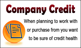Check Credit Health Of A Partner Company in Waltham Abbey