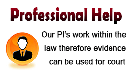 Private Investigators Work Within The Law in Waltham Abbey
